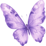 Mariposa